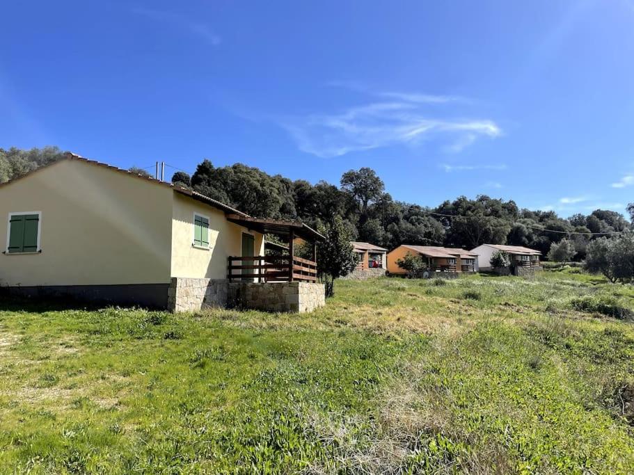 Maison Au Calme Avec Piscine Et Climatisation Sollacaro Buitenkant foto