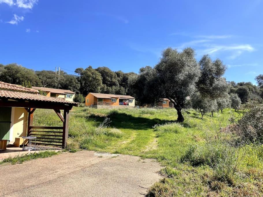 Maison Au Calme Avec Piscine Et Climatisation Sollacaro Buitenkant foto